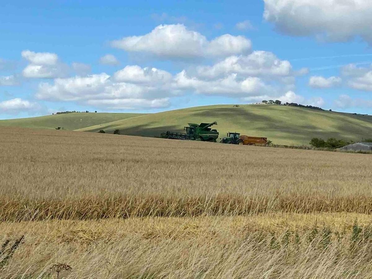 Pewsey Retreat 3 Sleeps -Petfriendly Bbq Parking Appartement Buitenkant foto
